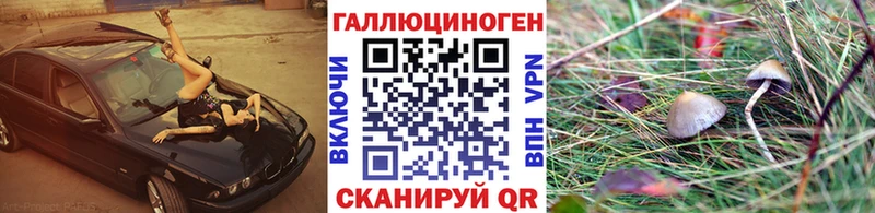 kraken ССЫЛКА  Карачев  Галлюциногенные грибы Magic Shrooms 